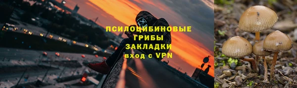 мяу мяу мука Абаза