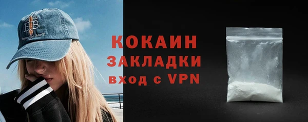 гидра Рославль