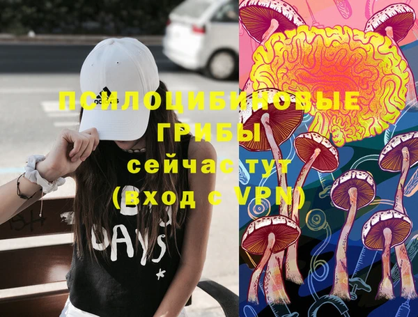 2c-b Абдулино