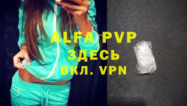 гидра Рославль