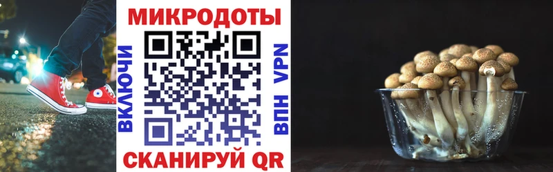 Псилоцибиновые грибы мухоморы Клинцы